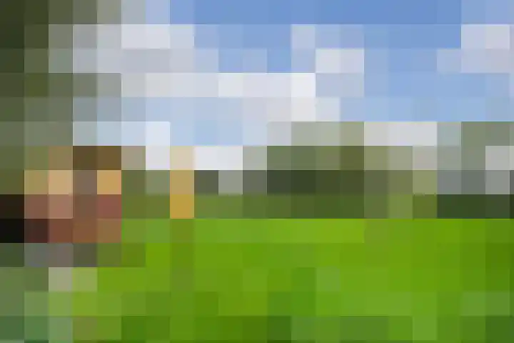 Berghuizen 40 Maasbommel thumbnail 55