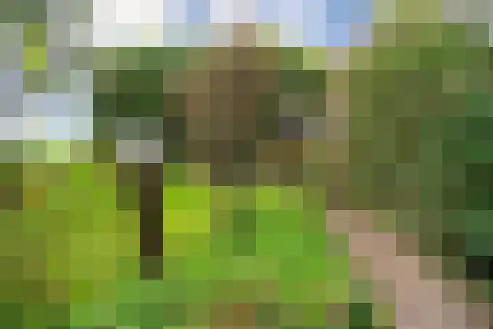 Berghuizen 40 Maasbommel thumbnail 56