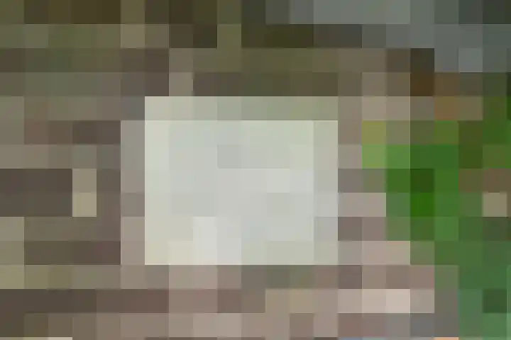 Berghuizen 40 Maasbommel thumbnail 57