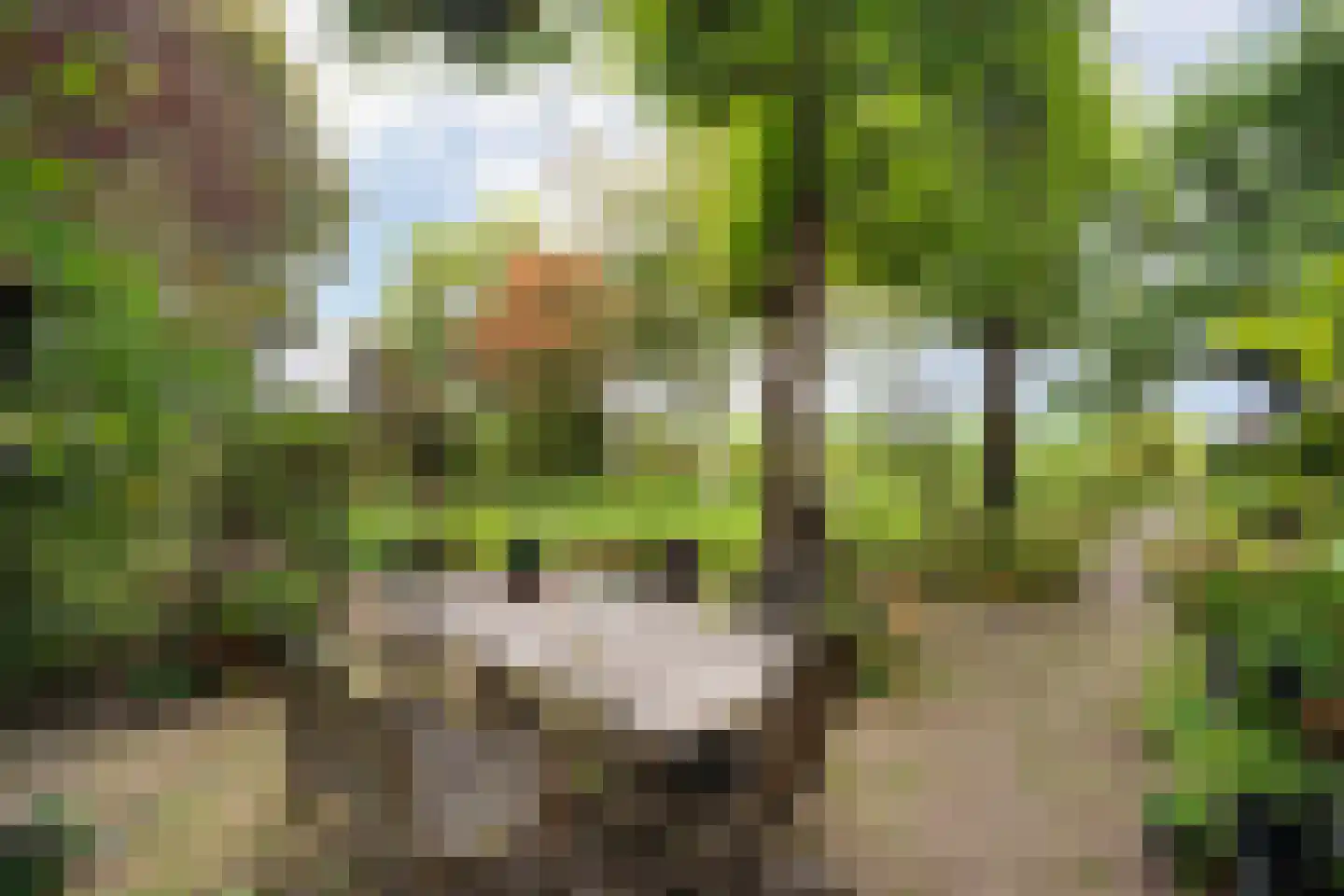 Berghuizen 40 Maasbommel thumbnail 58