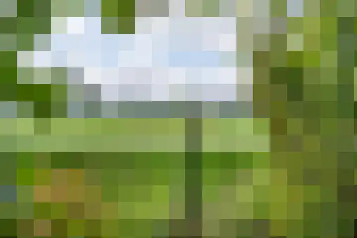 Berghuizen 40 Maasbommel thumbnail 59