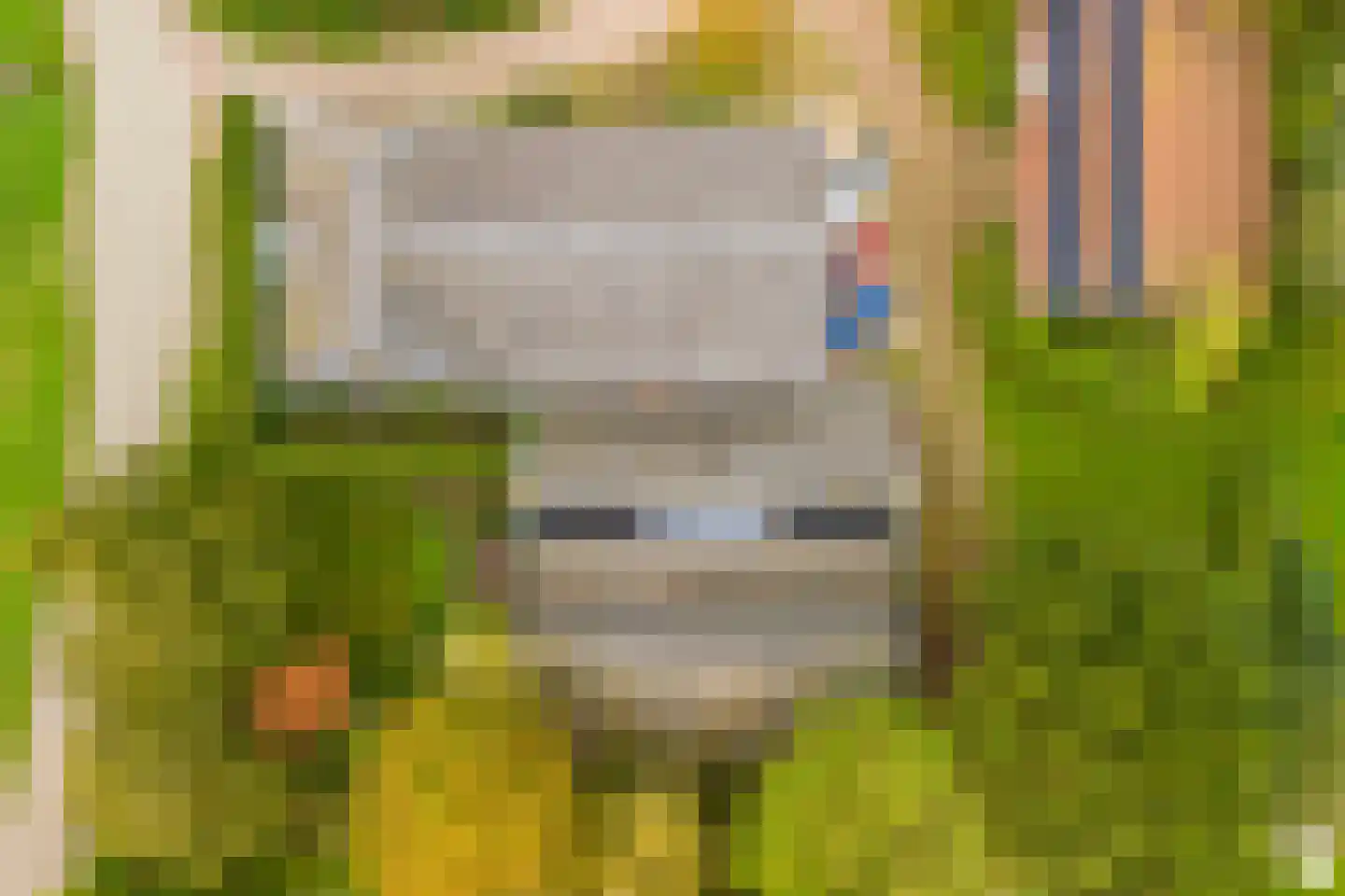 Berghuizen 40 Maasbommel thumbnail 6
