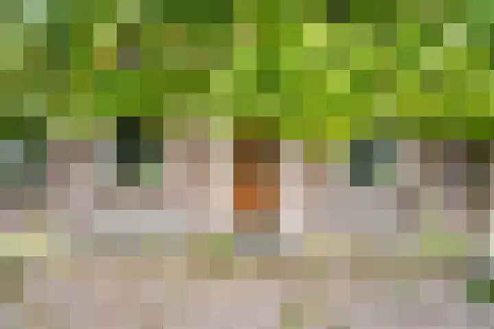 Berghuizen 40 Maasbommel thumbnail 6