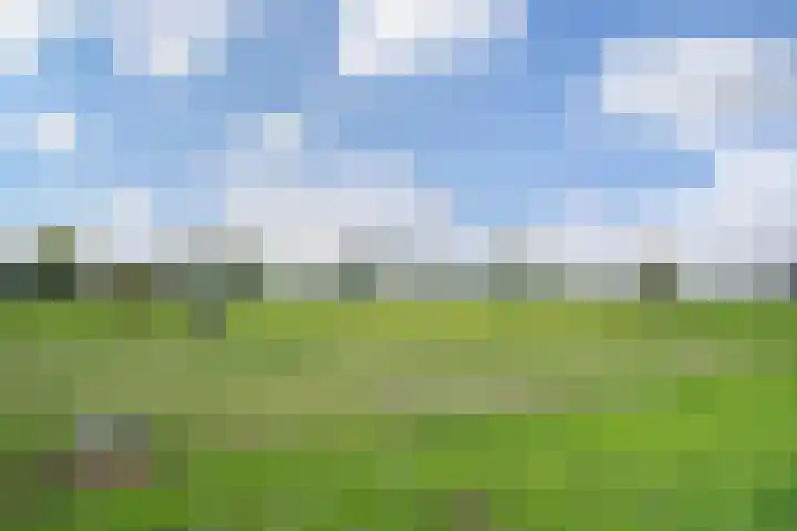 Berghuizen 40 Maasbommel thumbnail 60