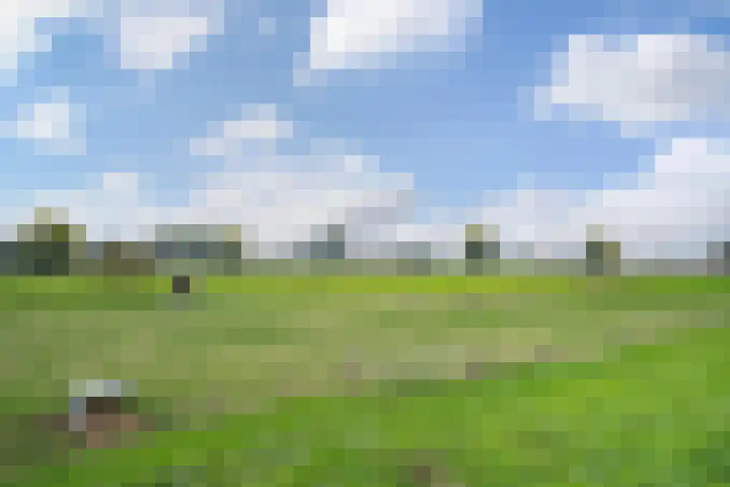 Berghuizen 40 Maasbommel thumbnail 60