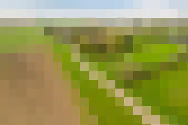 Berghuizen 40 Maasbommel thumbnail 61