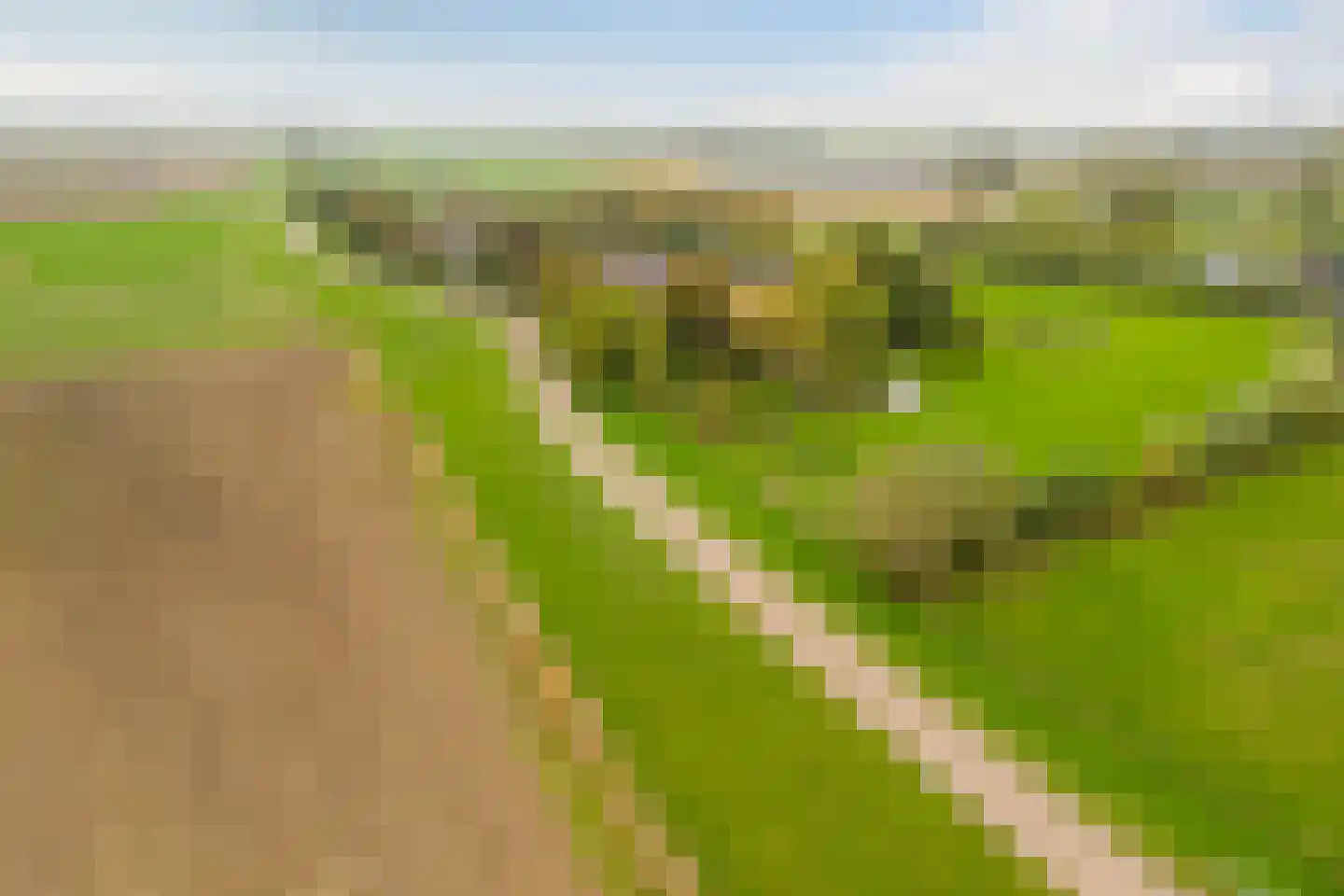 Berghuizen 40 Maasbommel thumbnail 61