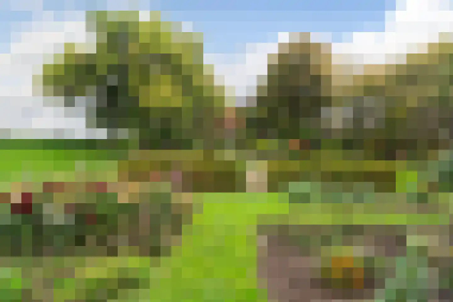 Berghuizen 40 Maasbommel thumbnail 65