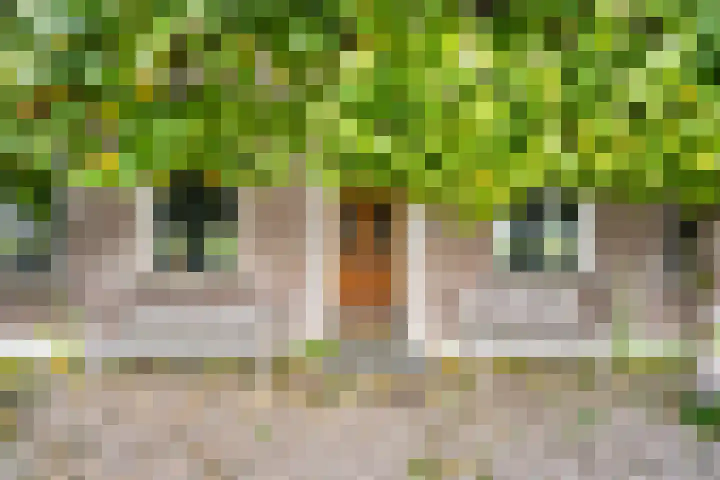 Berghuizen 40 Maasbommel thumbnail 8