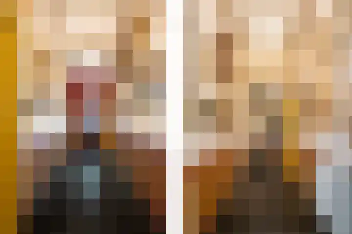 Berghuizen 40 Maasbommel thumbnail 9