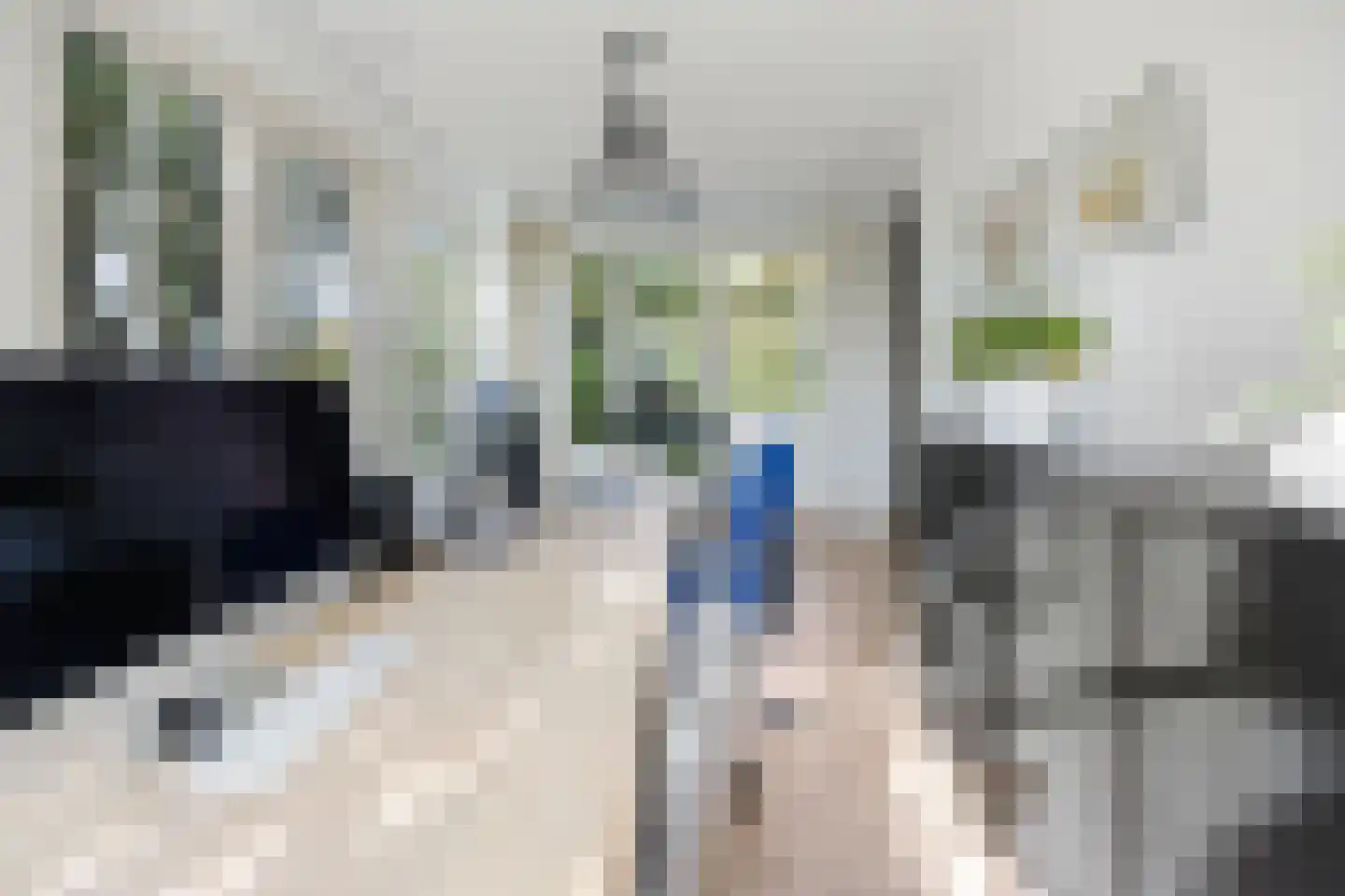 Berghuizen 42 Maasbommel thumbnail 10