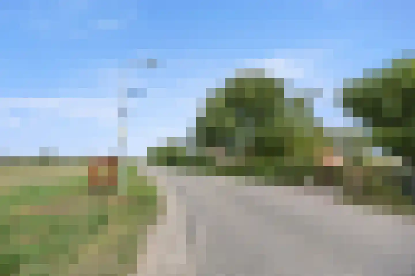 Berghuizen 42 Maasbommel thumbnail 101