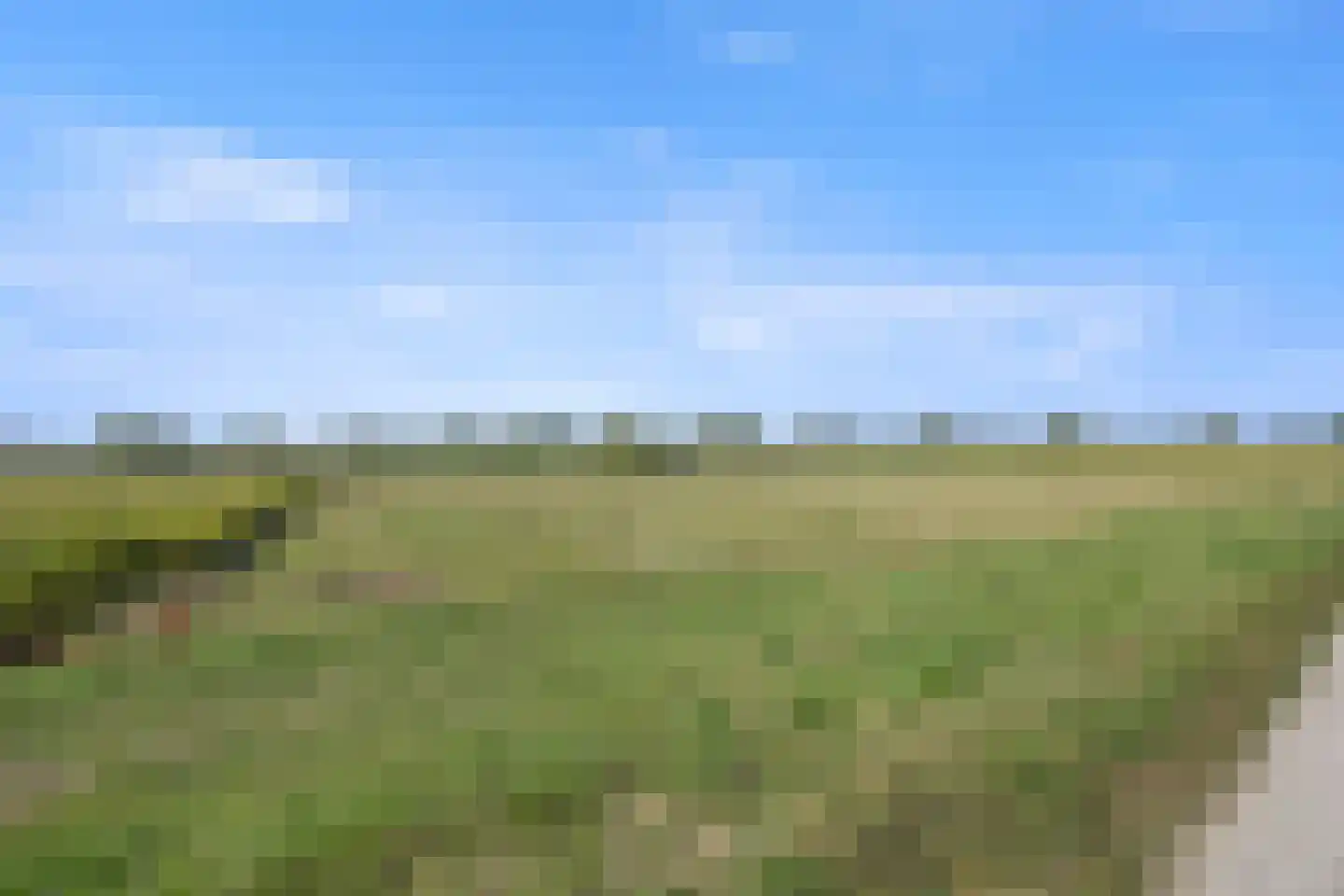 Berghuizen 42 Maasbommel thumbnail 102