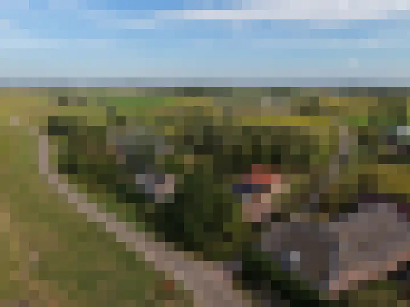 Berghuizen 42 Maasbommel thumbnail 104