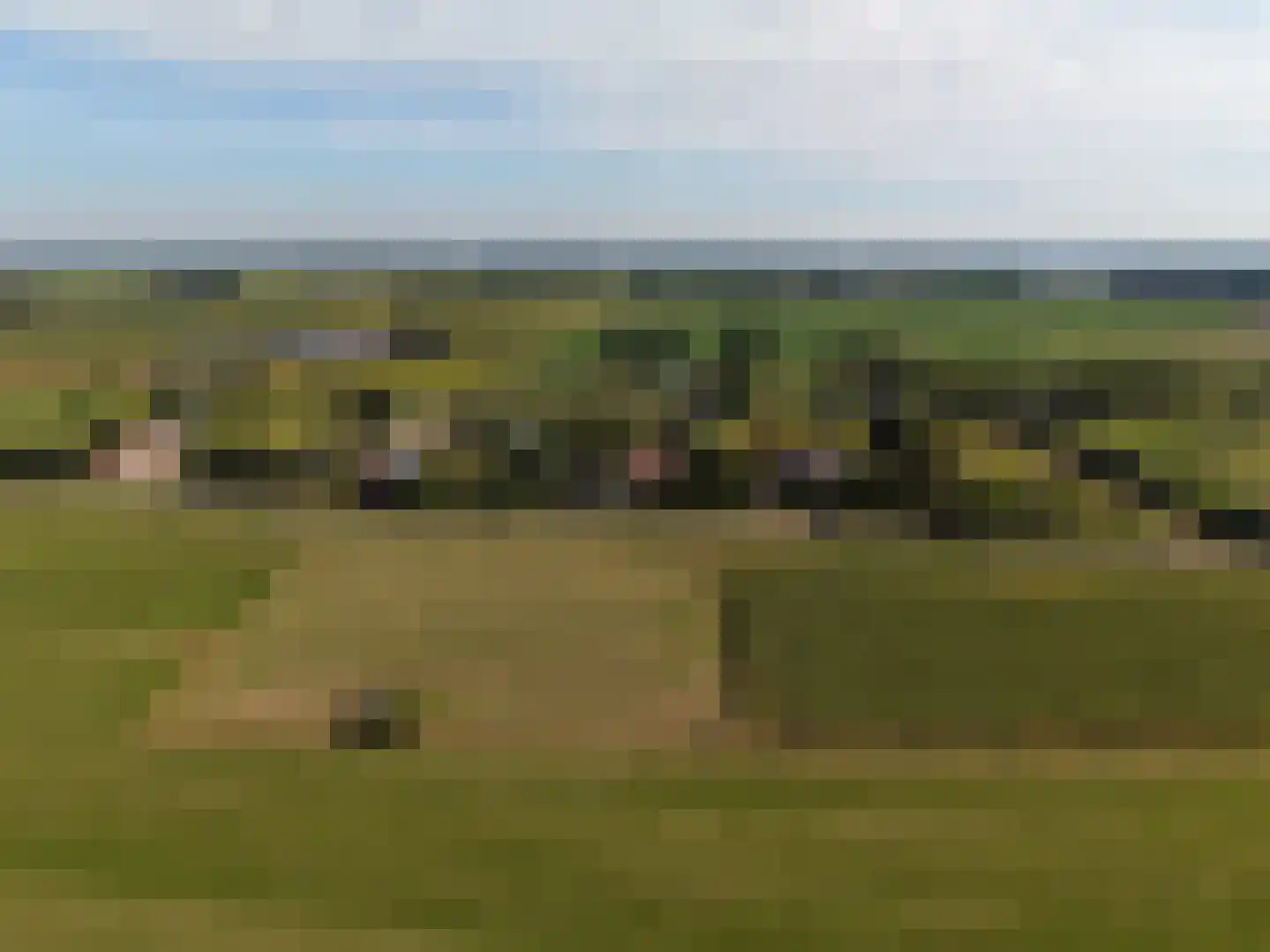 Berghuizen 42 Maasbommel thumbnail 105