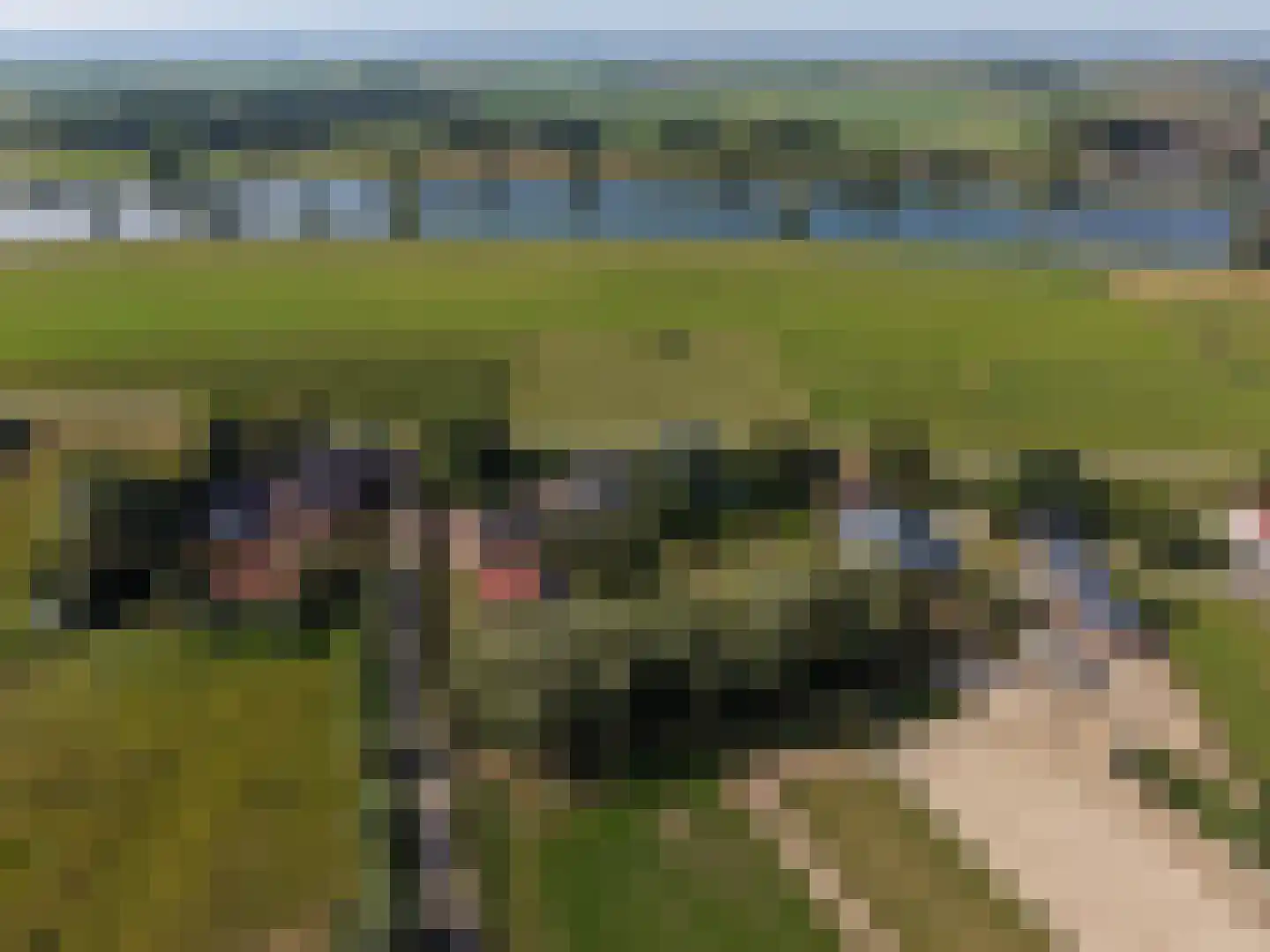 Berghuizen 42 Maasbommel thumbnail 106