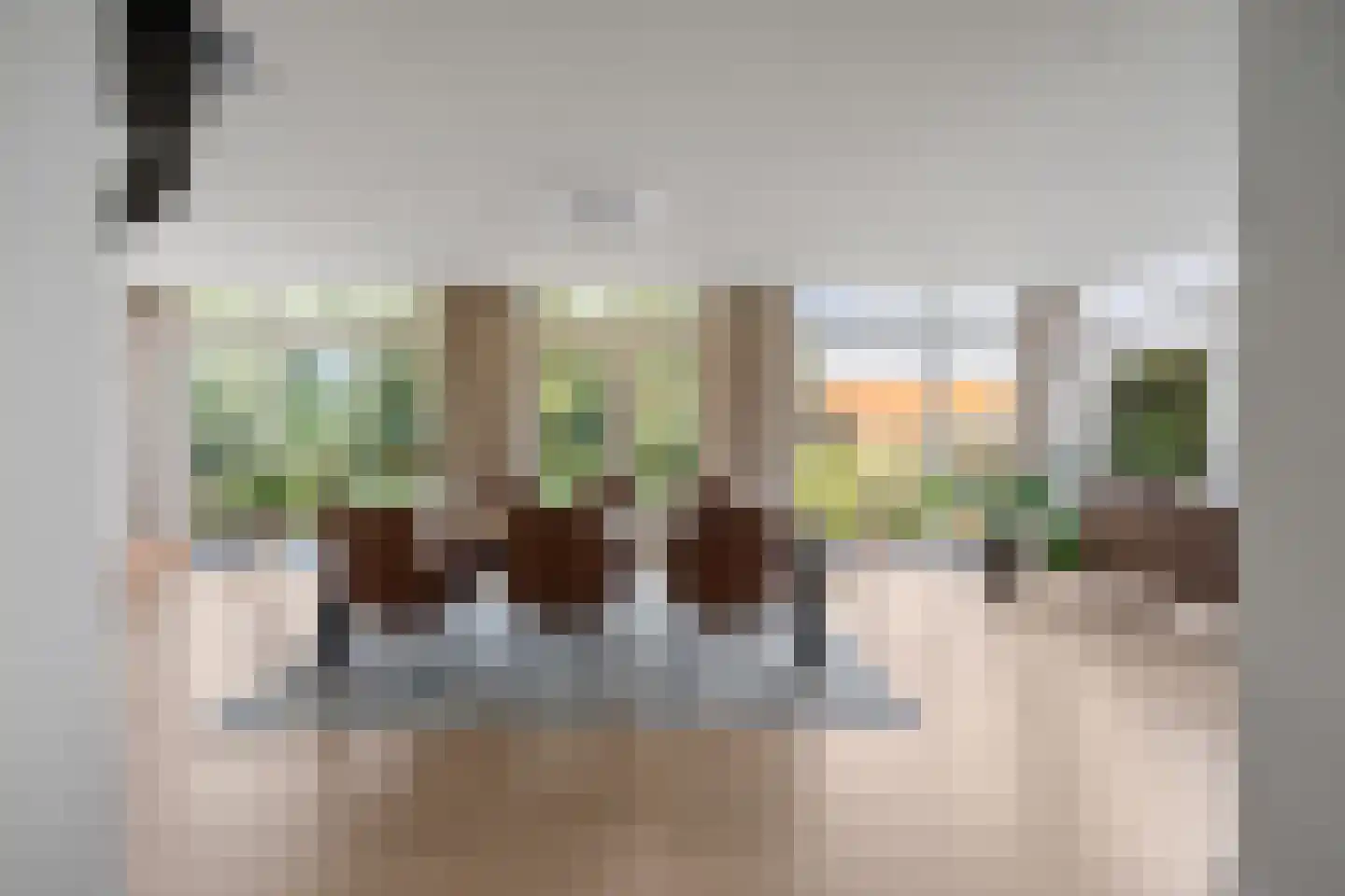 Berghuizen 42 Maasbommel thumbnail 16