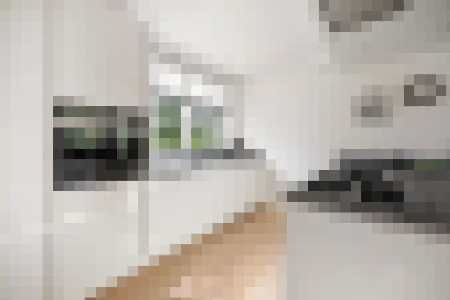 Berghuizen 42 Maasbommel thumbnail 24