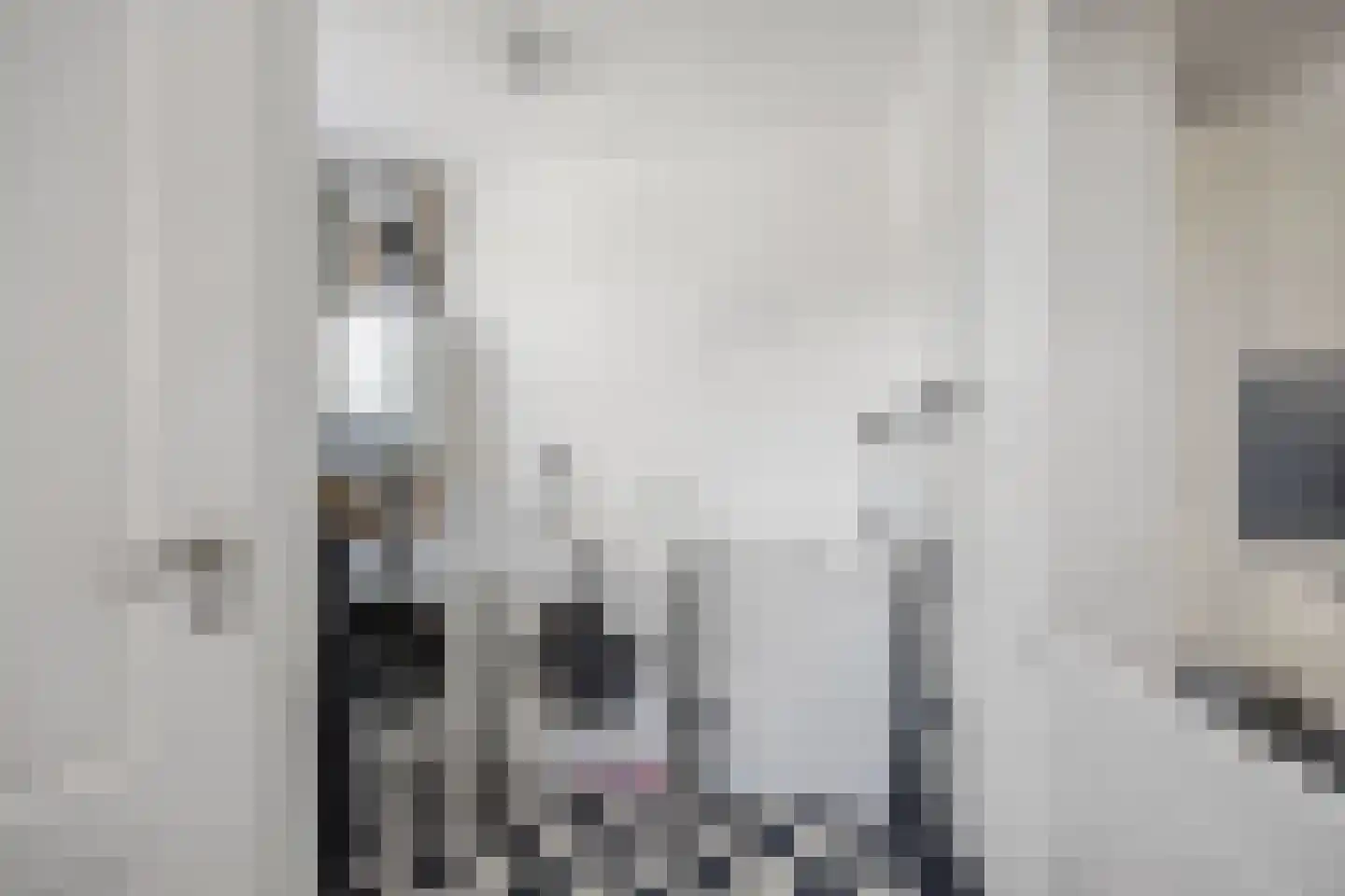Berghuizen 42 Maasbommel thumbnail 26