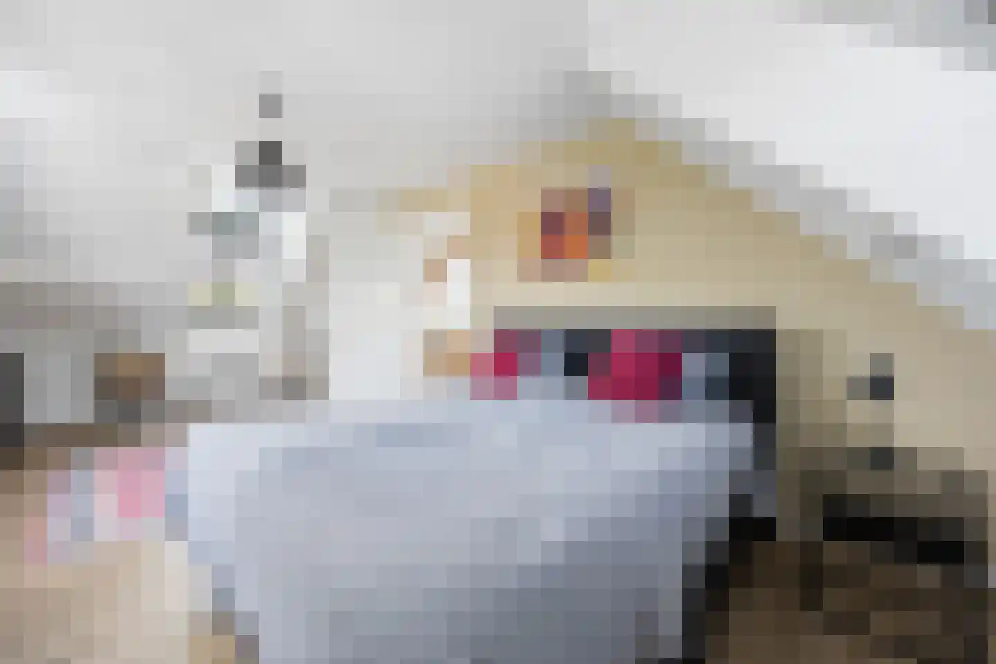 Berghuizen 42 Maasbommel thumbnail 31