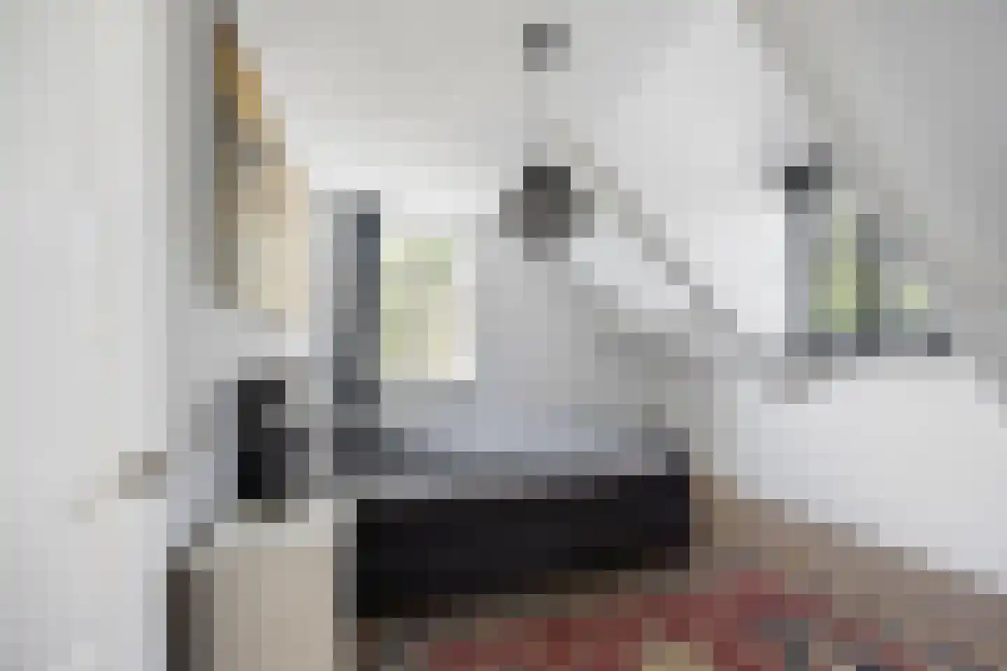 Berghuizen 42 Maasbommel thumbnail 33