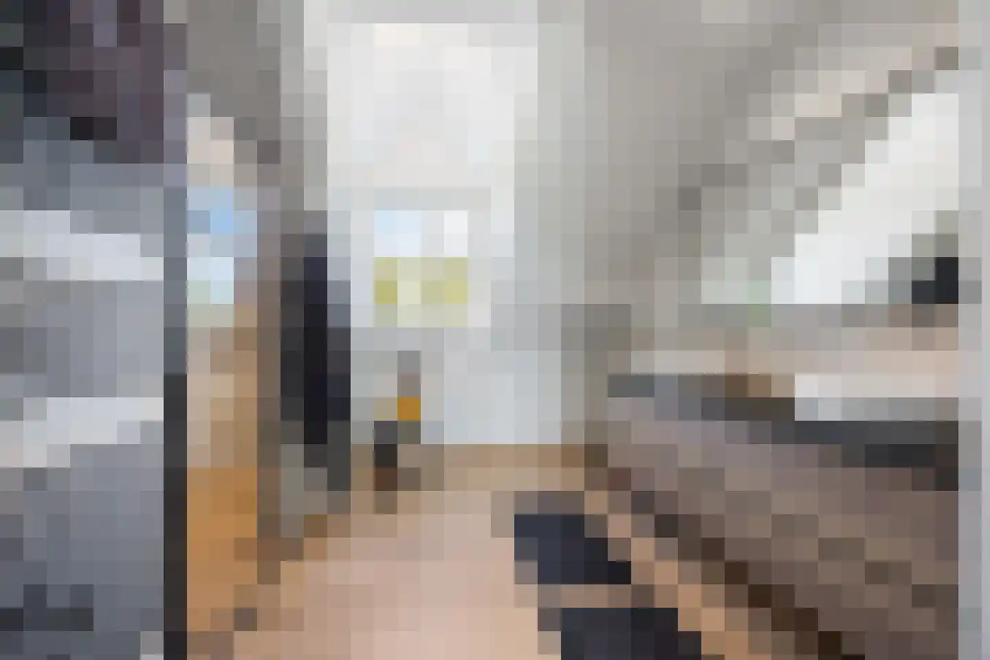 Berghuizen 42 Maasbommel thumbnail 37