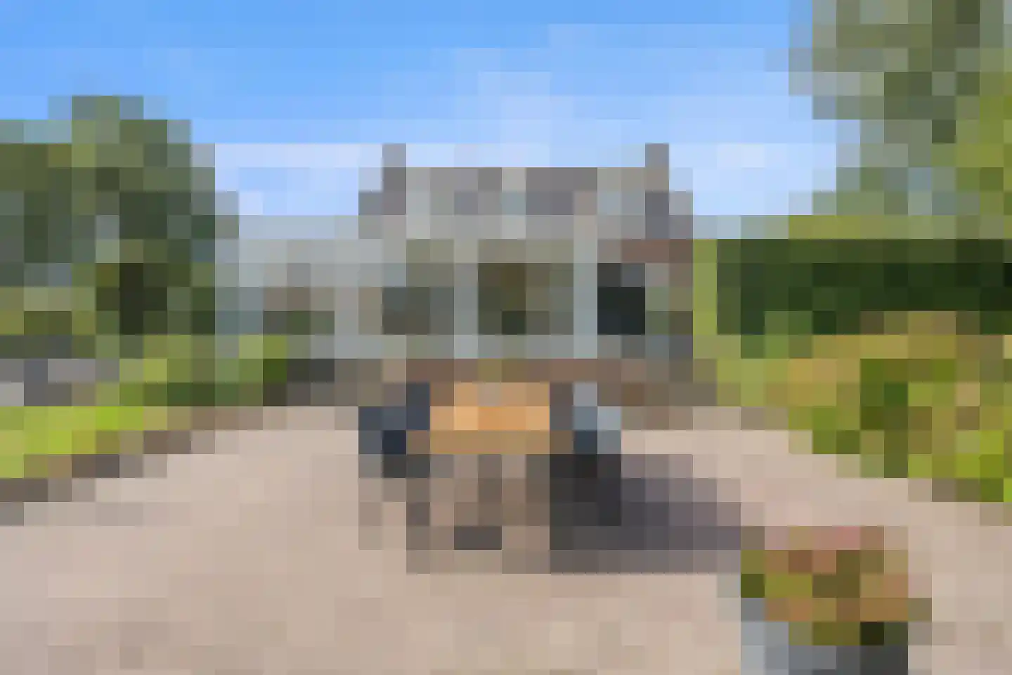 Berghuizen 42 Maasbommel thumbnail 46