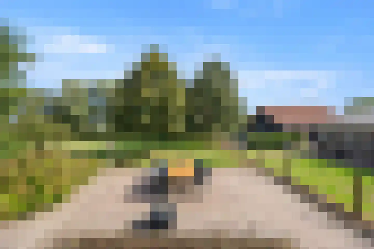 Berghuizen 42 Maasbommel thumbnail 48