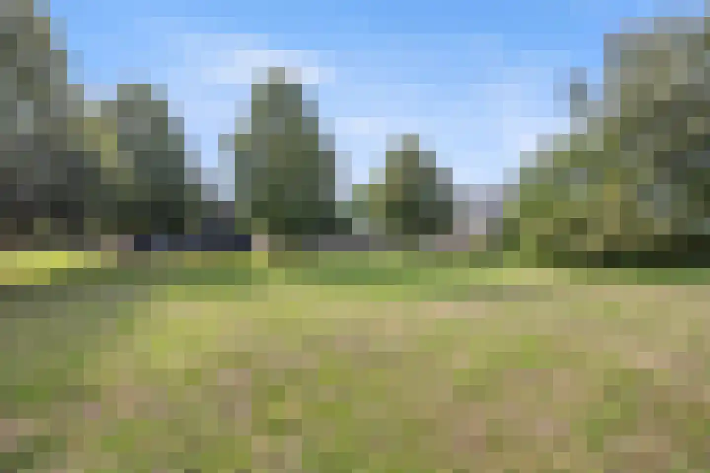 Berghuizen 42 Maasbommel thumbnail 49