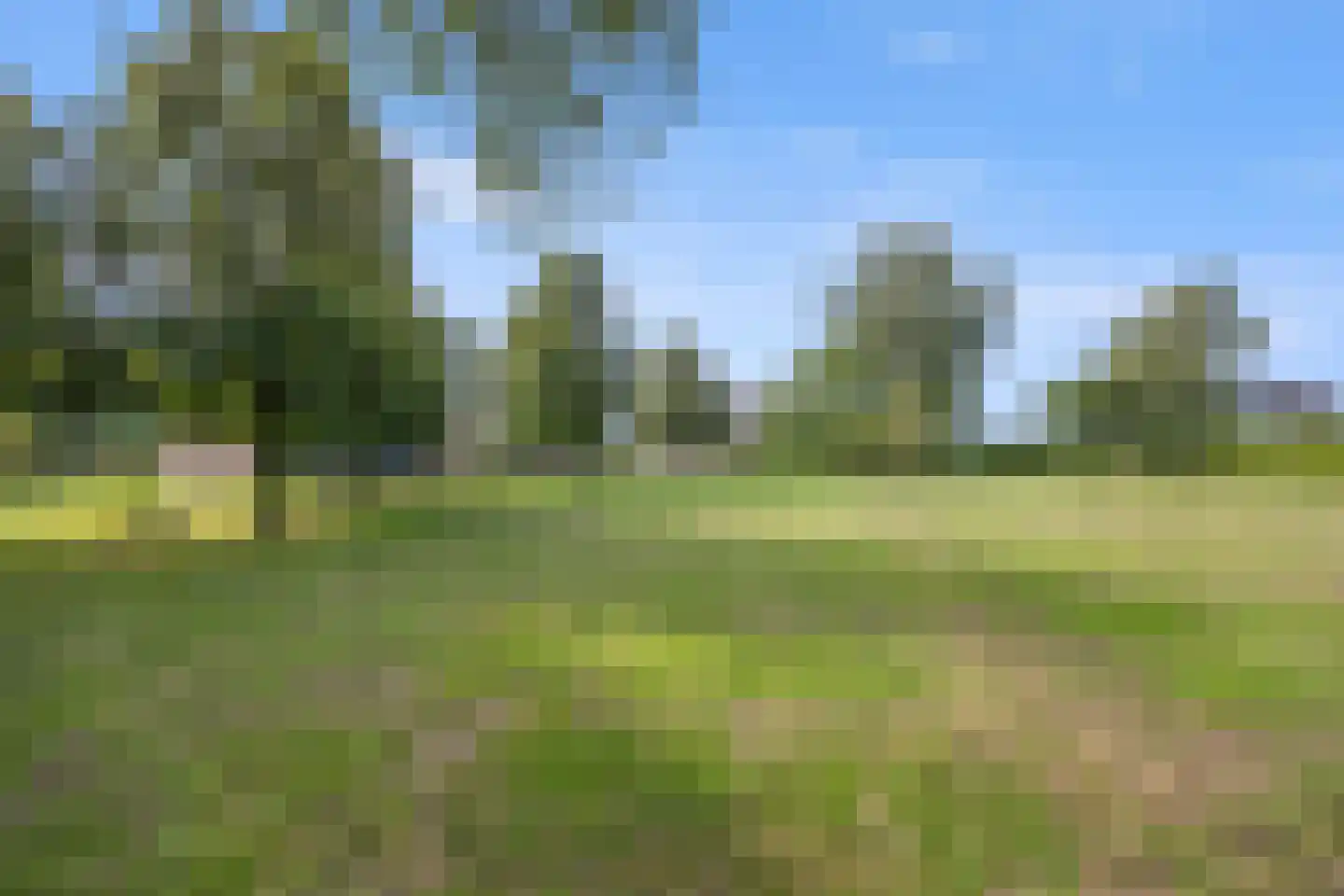 Berghuizen 42 Maasbommel thumbnail 50