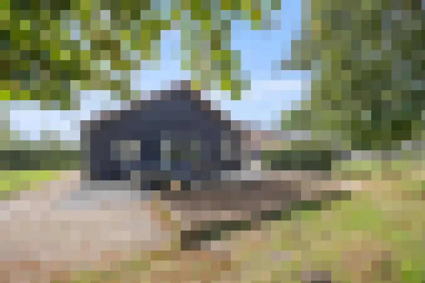 Berghuizen 42 Maasbommel thumbnail 52