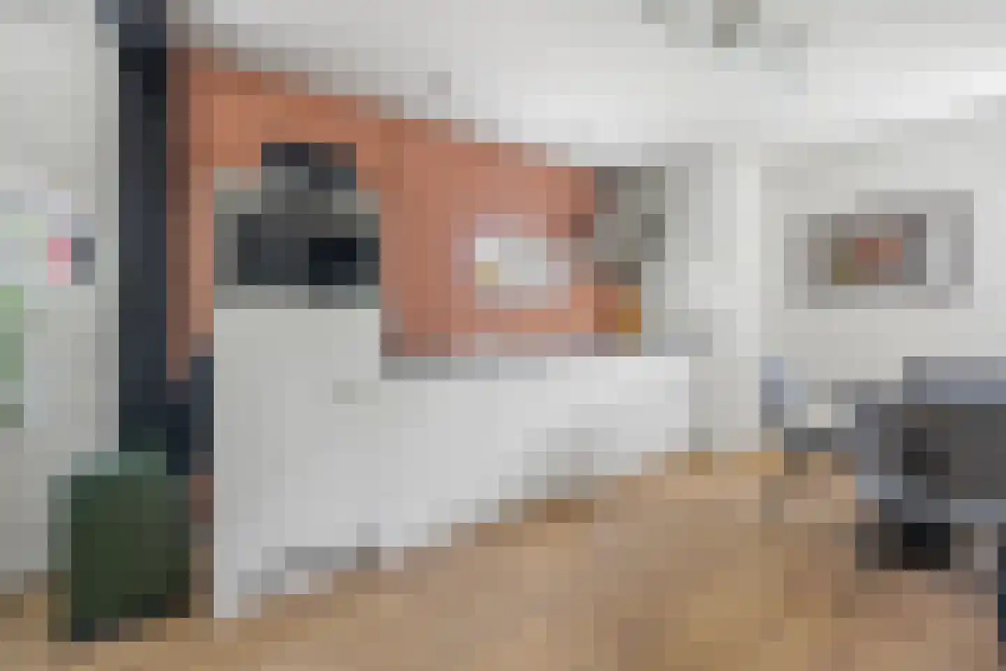 Berghuizen 42 Maasbommel thumbnail 56