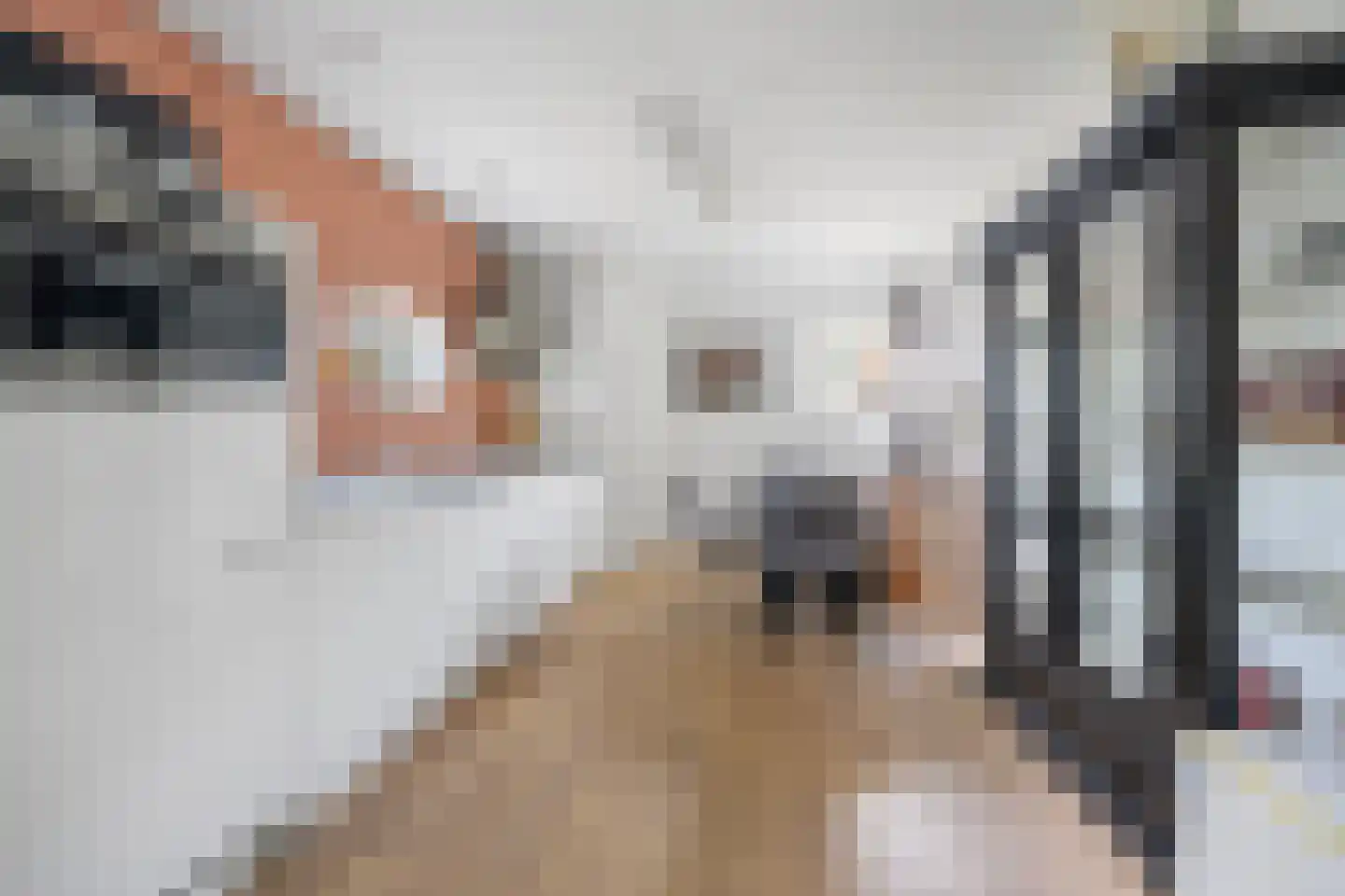 Berghuizen 42 Maasbommel thumbnail 57
