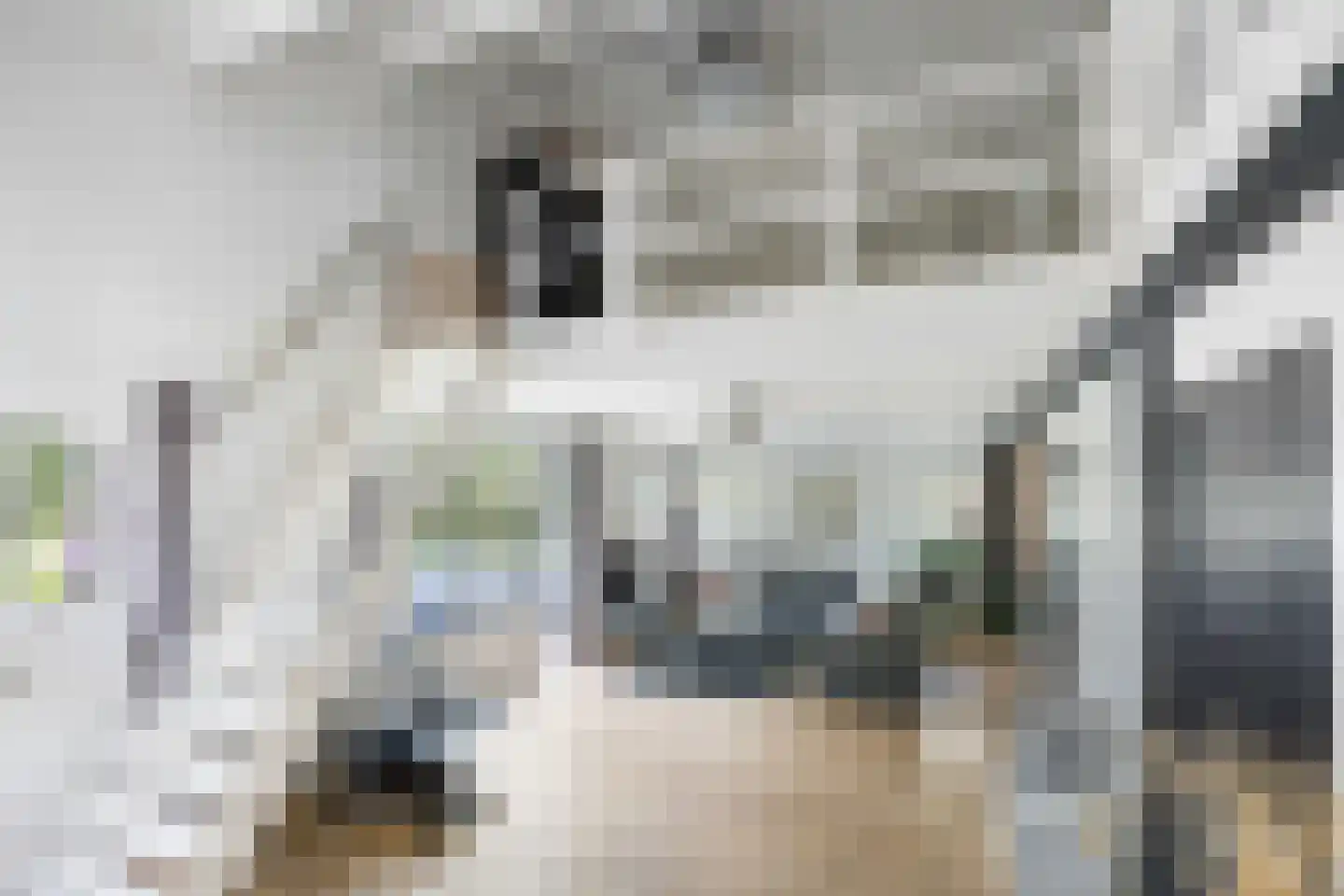 Berghuizen 42 Maasbommel thumbnail 68
