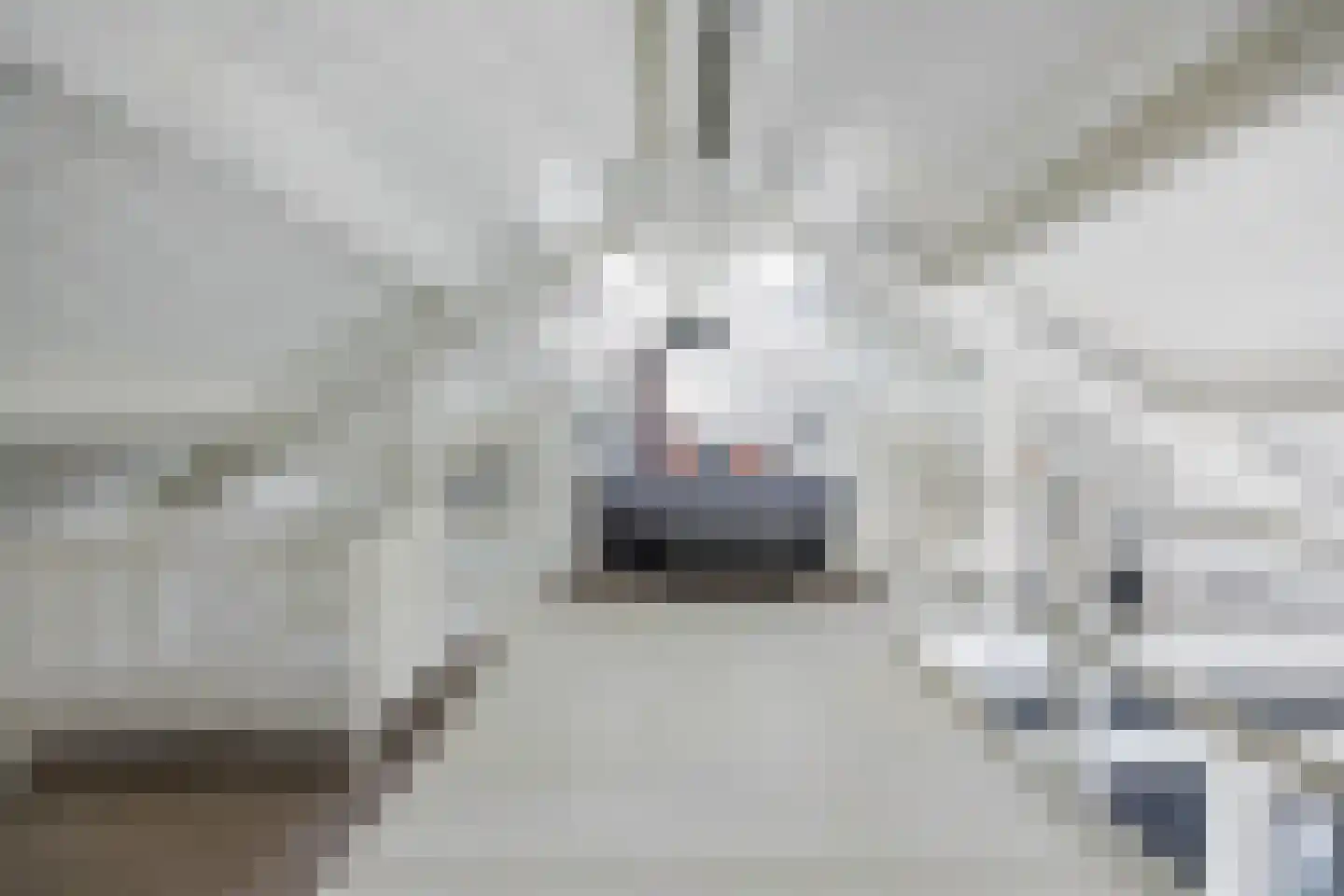 Berghuizen 42 Maasbommel thumbnail 69