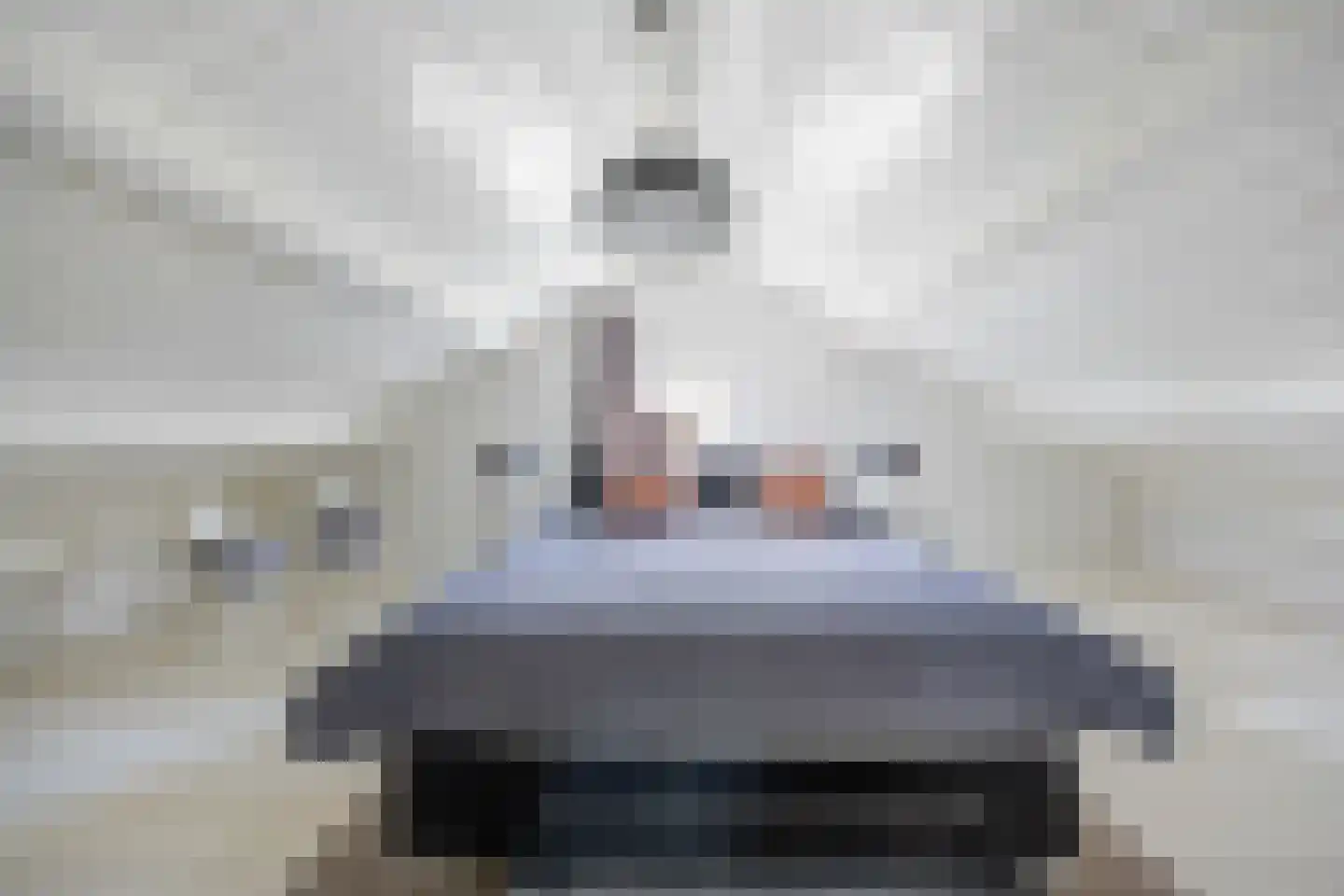 Berghuizen 42 Maasbommel thumbnail 70