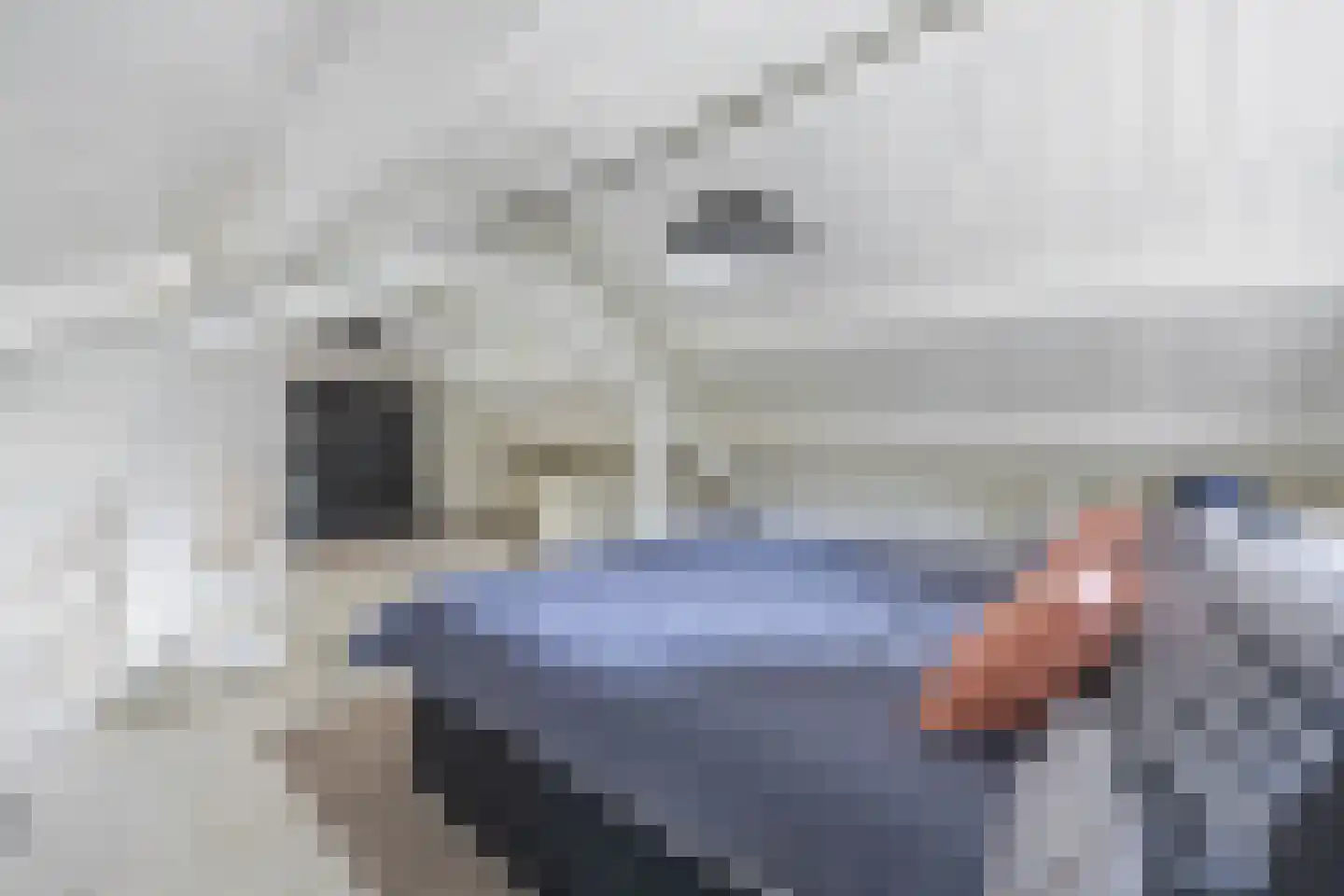 Berghuizen 42 Maasbommel thumbnail 72
