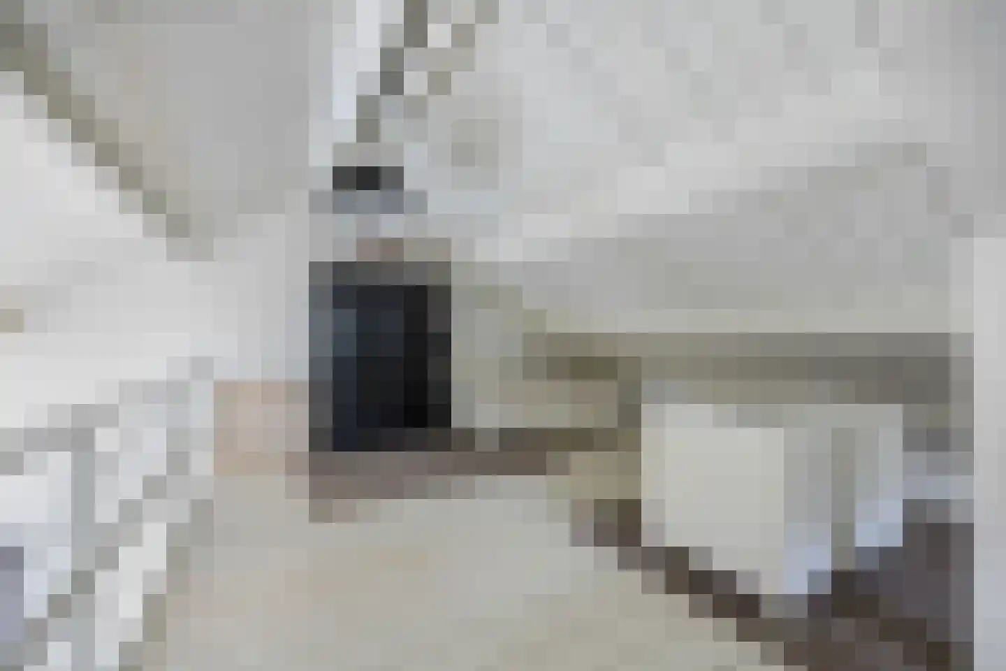 Berghuizen 42 Maasbommel thumbnail 73