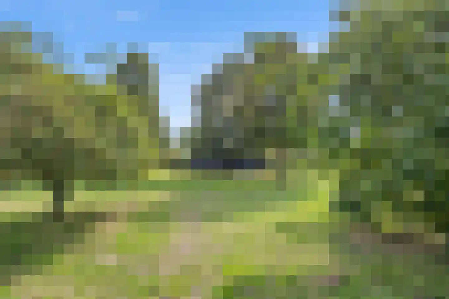 Berghuizen 42 Maasbommel thumbnail 75