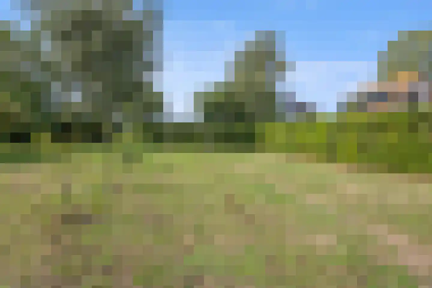 Berghuizen 42 Maasbommel thumbnail 76