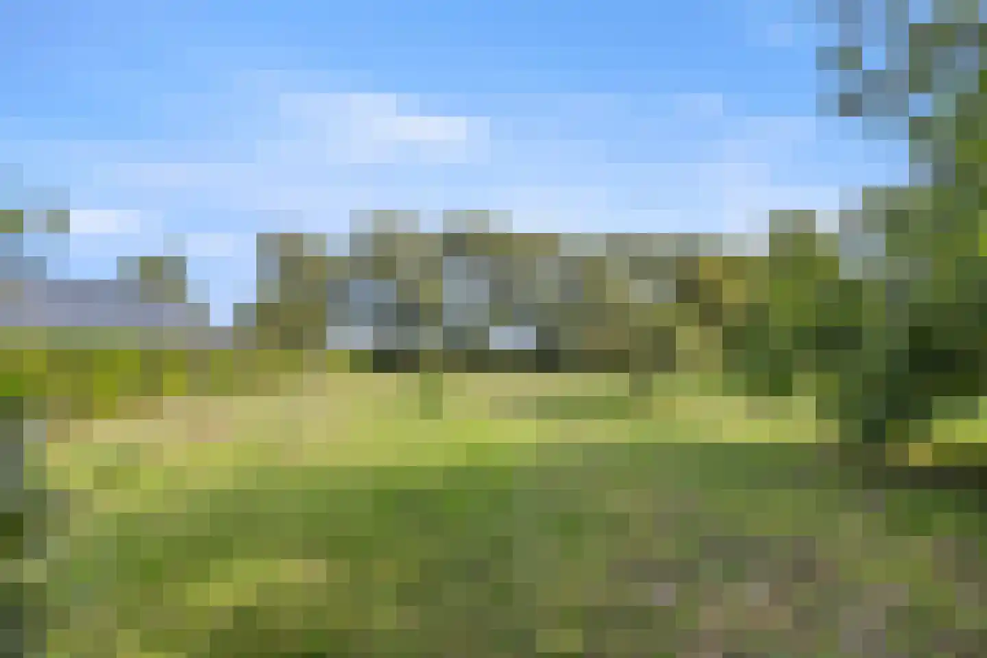 Berghuizen 42 Maasbommel thumbnail 77