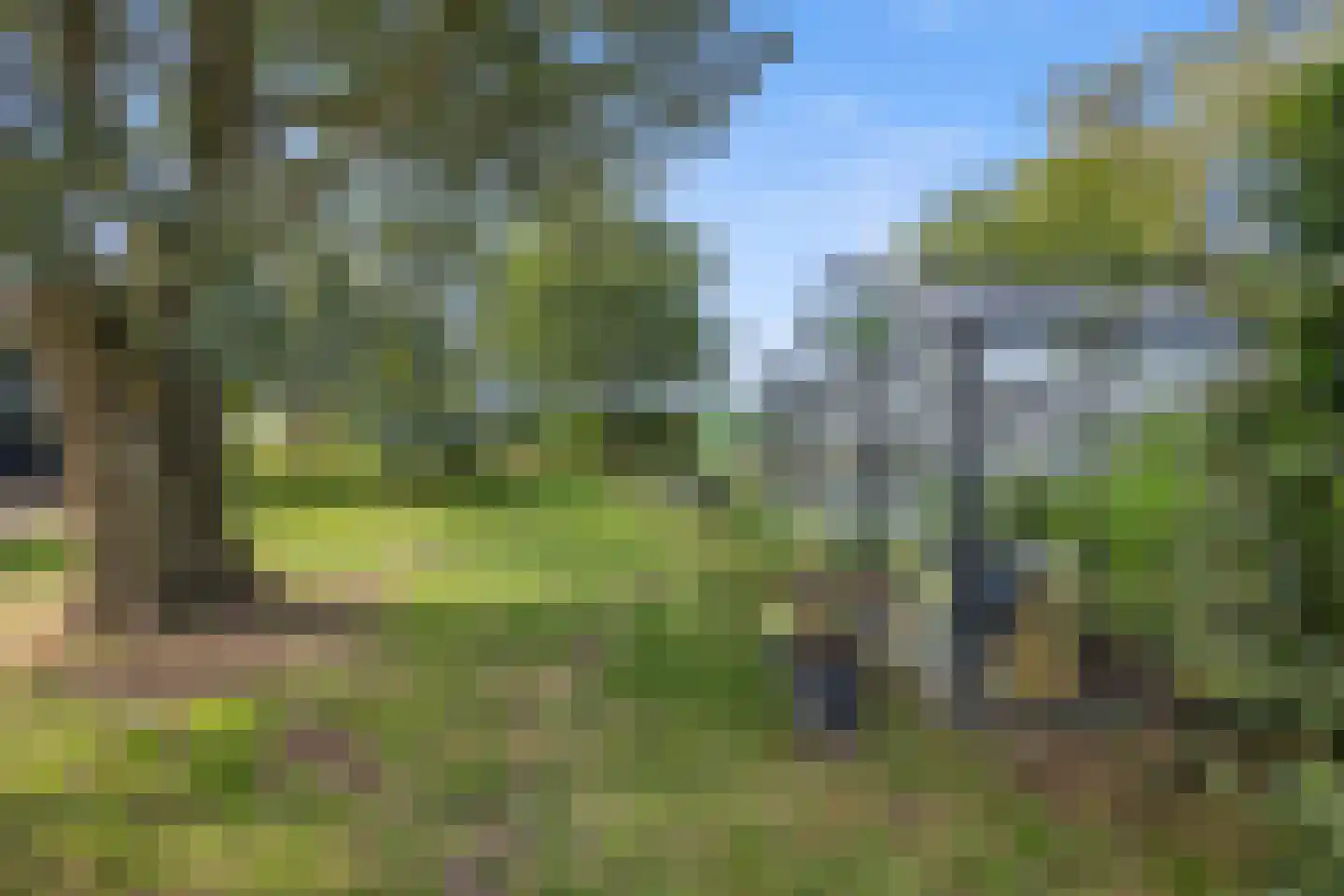 Berghuizen 42 Maasbommel thumbnail 78