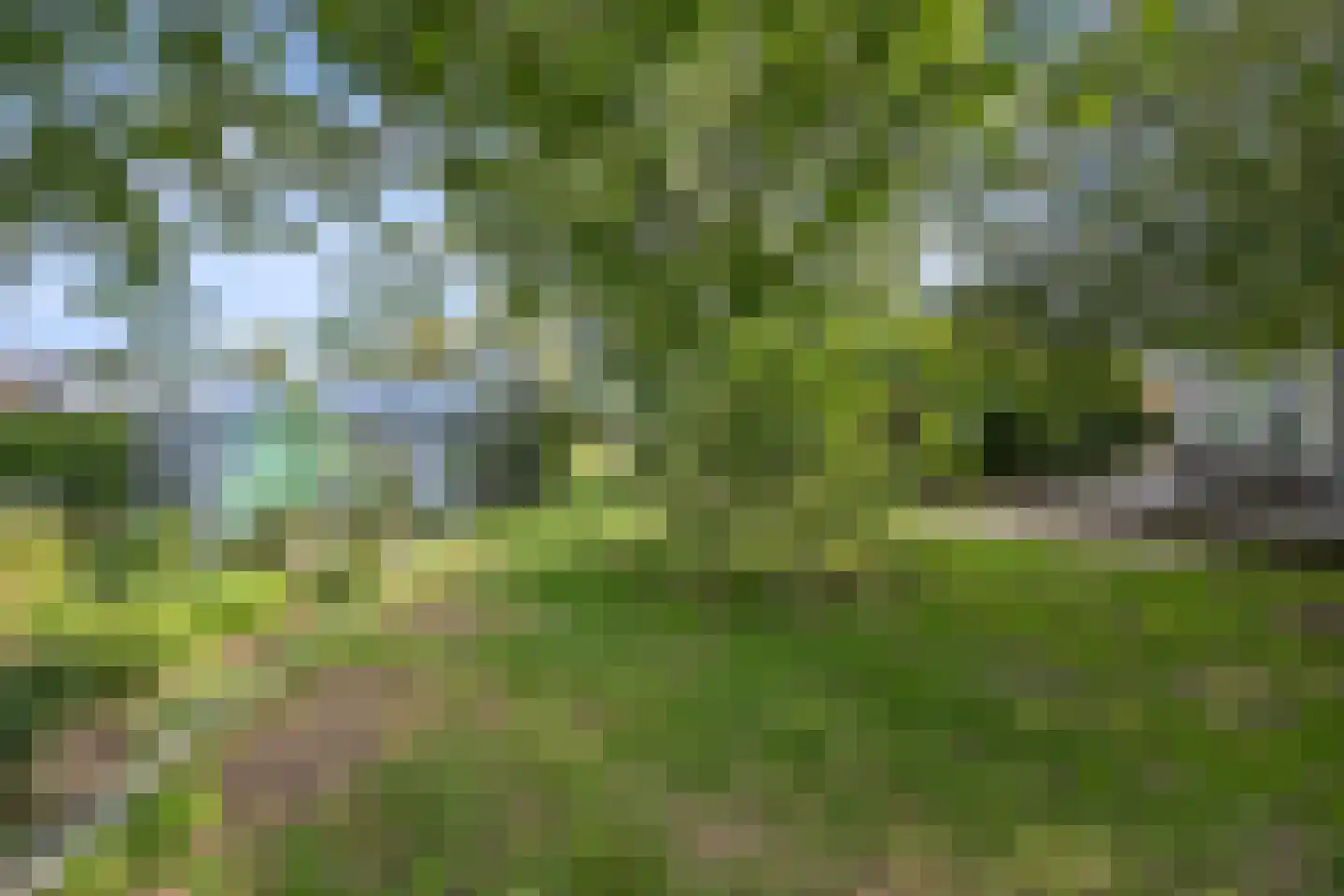 Berghuizen 42 Maasbommel thumbnail 80