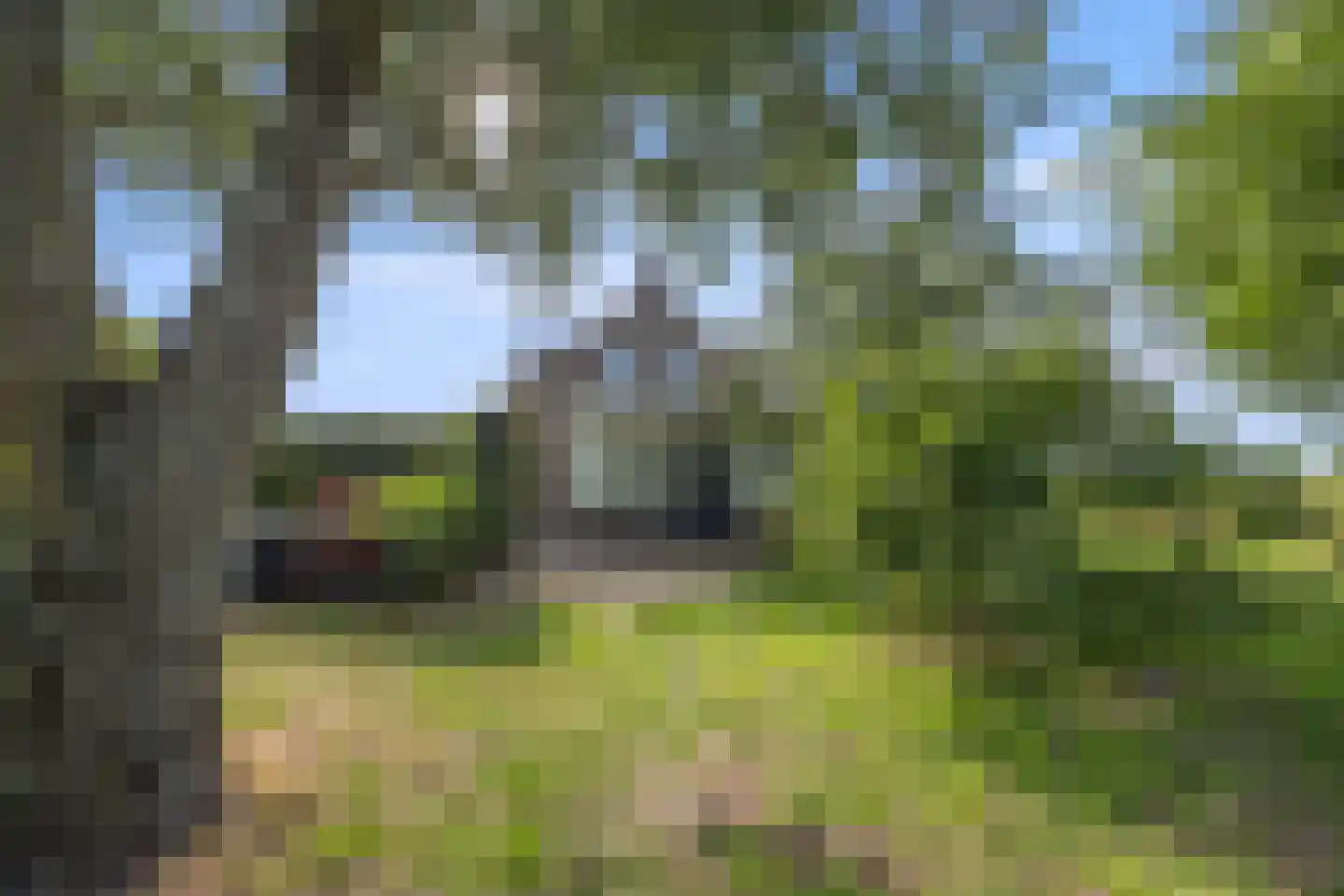 Berghuizen 42 Maasbommel thumbnail 81