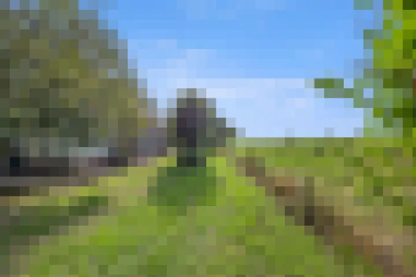 Berghuizen 42 Maasbommel thumbnail 82