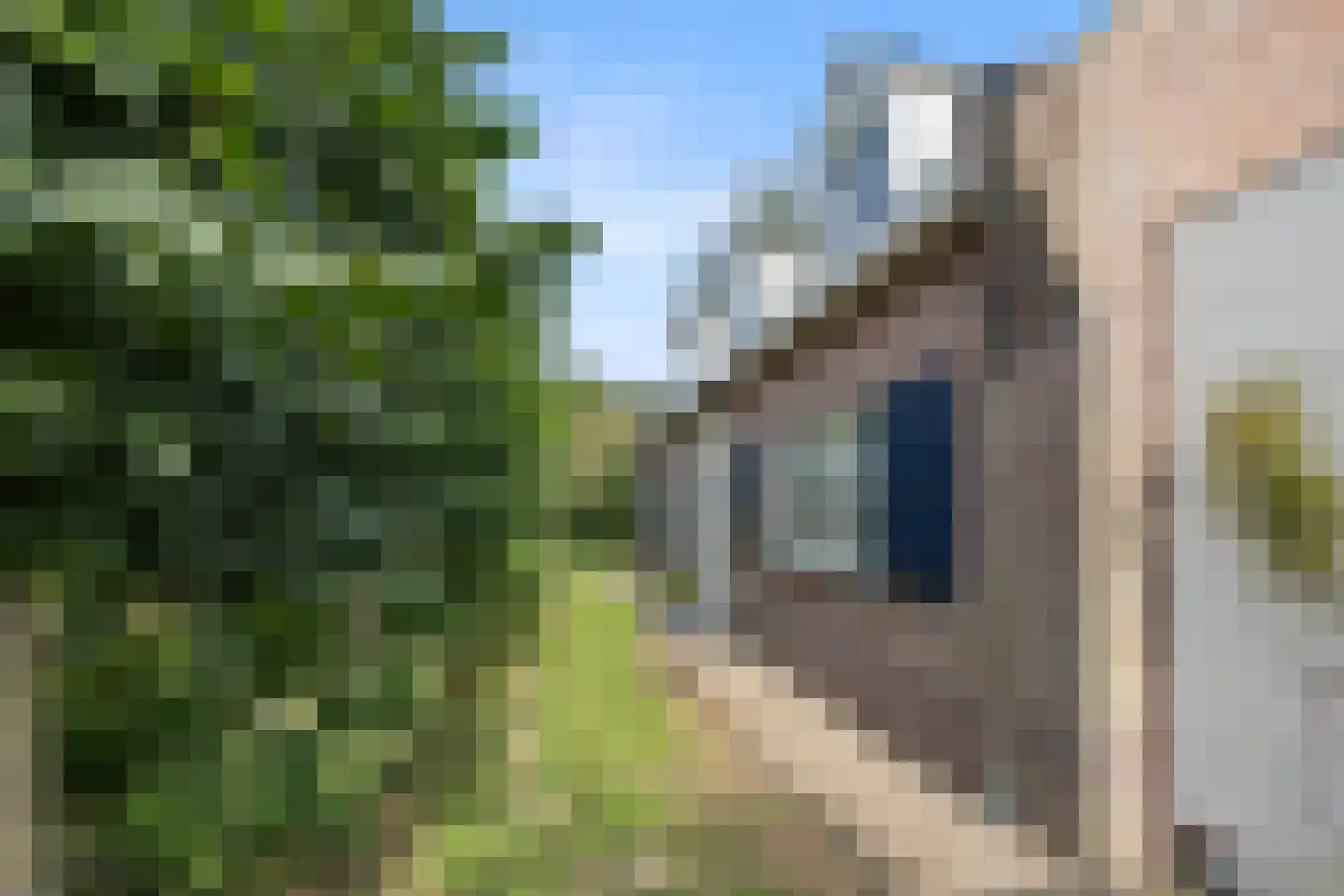 Berghuizen 42 Maasbommel thumbnail 84