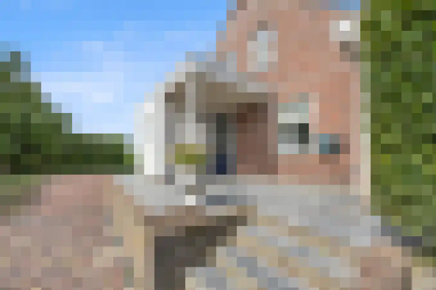 Berghuizen 42 Maasbommel thumbnail 87