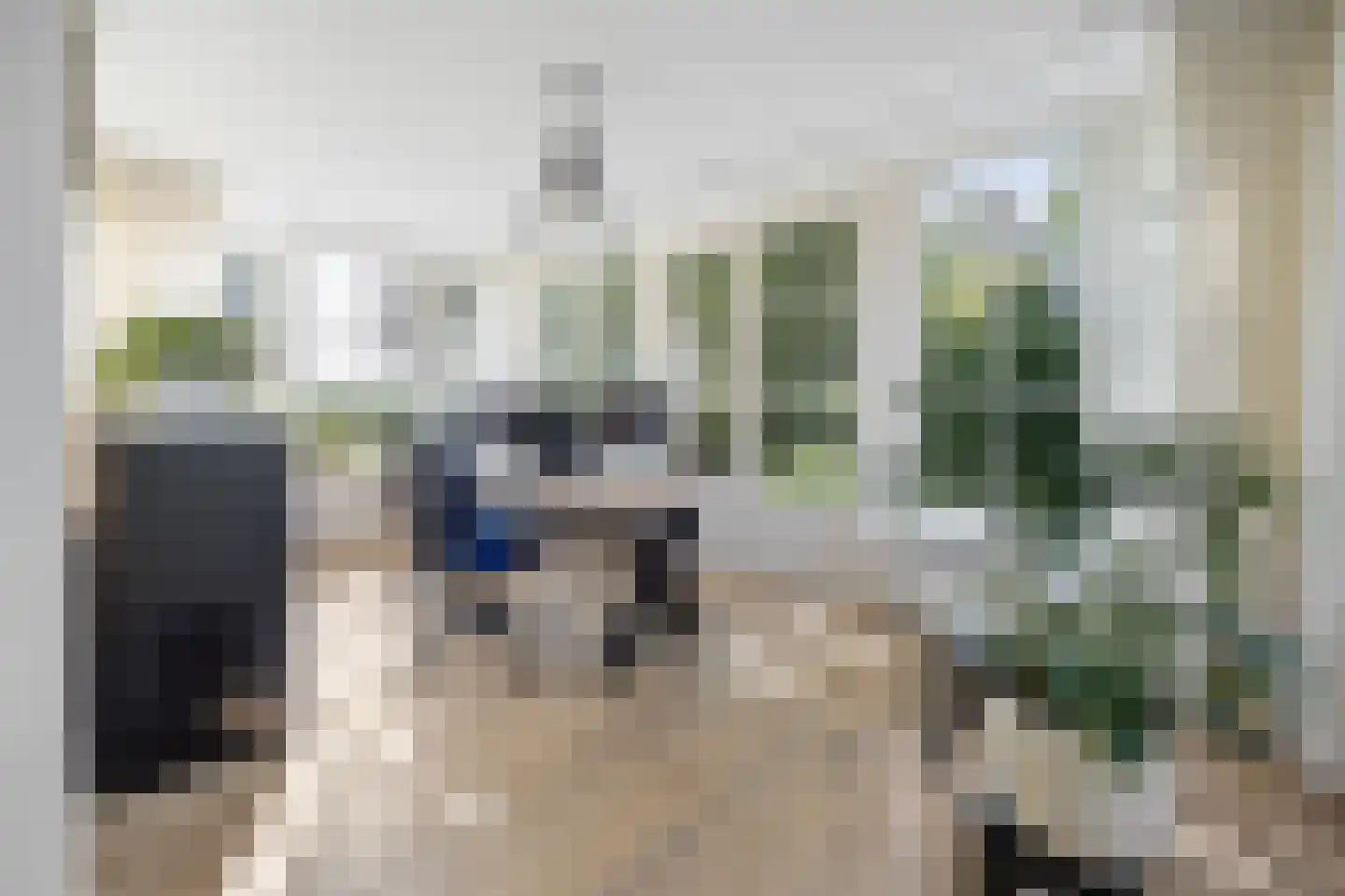 Berghuizen 42 Maasbommel thumbnail 9