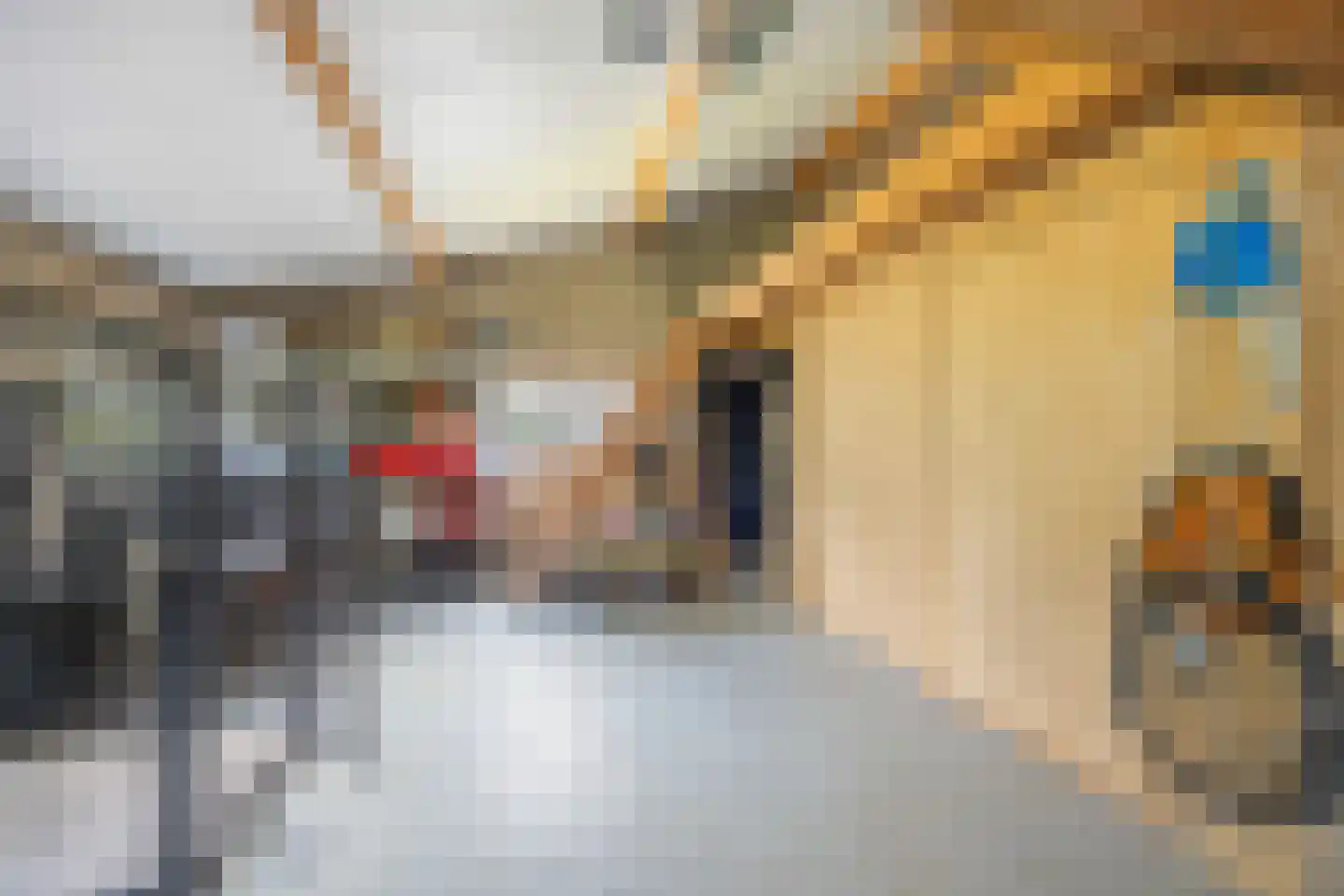Berghuizen 42 Maasbommel thumbnail 94