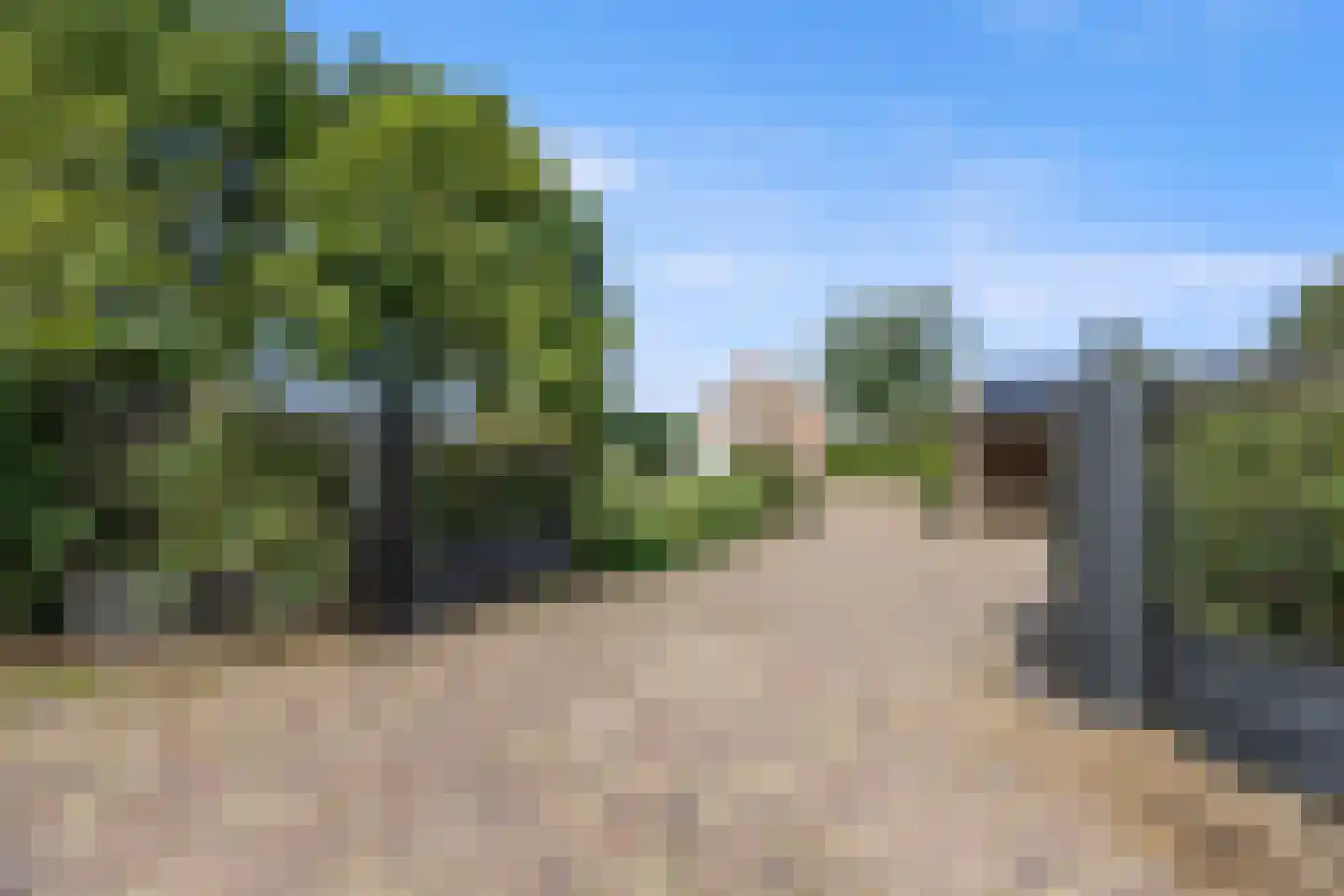 Berghuizen 42 Maasbommel thumbnail 97